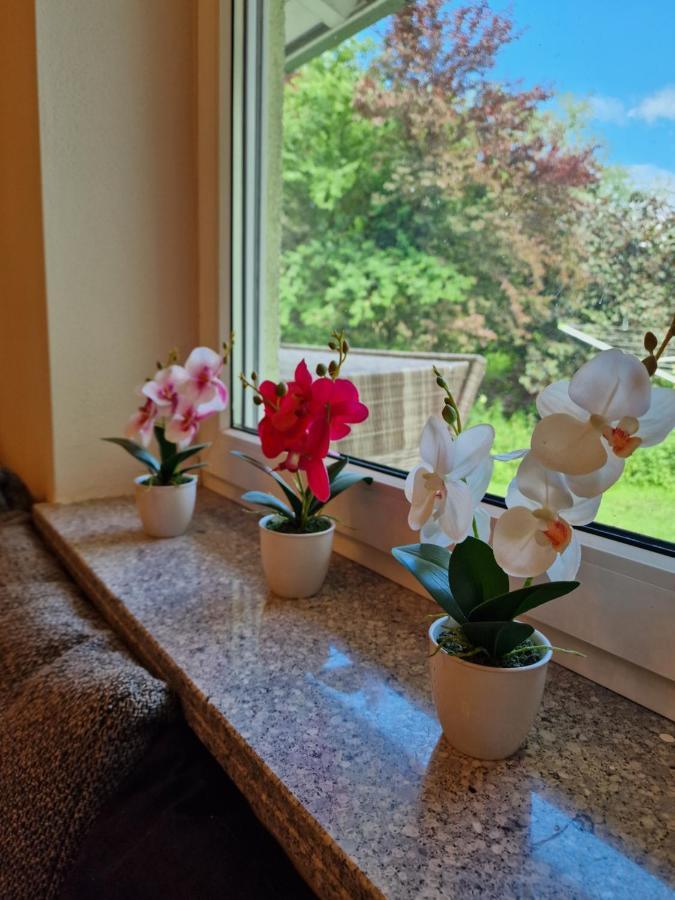 Ferienwohnung Bayernbrise Rohrdorf  Esterno foto