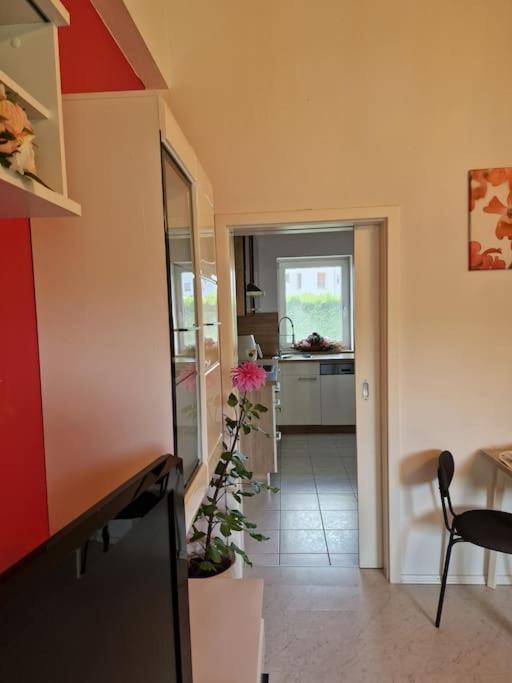 Ferienwohnung Bayernbrise Rohrdorf  Esterno foto